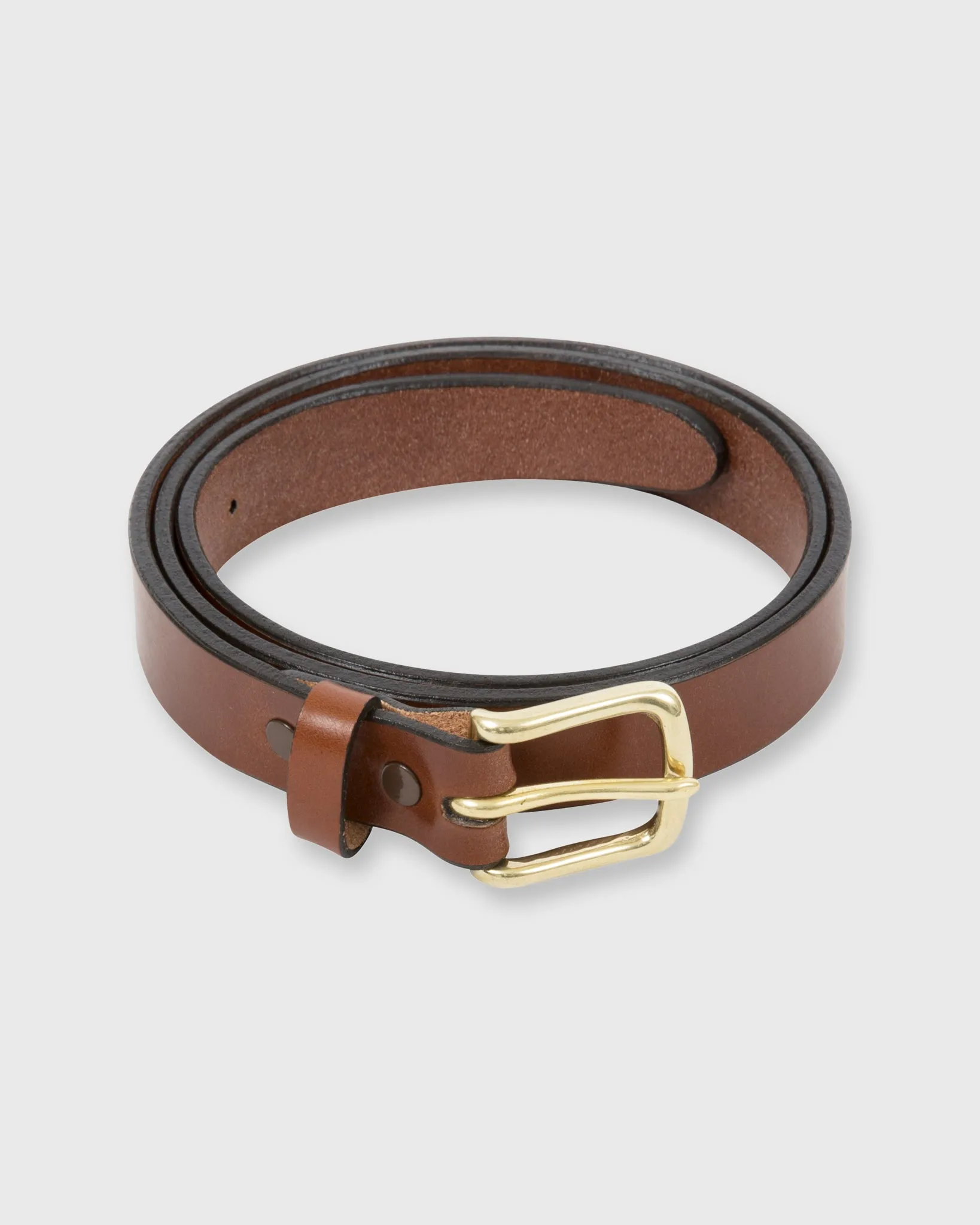 1" Belt in Medium Brown Bridle