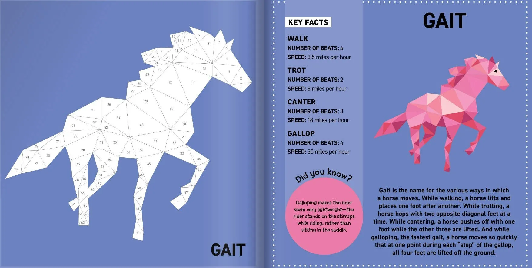 Activity Book - Sticker Paintings: Horses