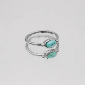 Birthstone Ring | Silver