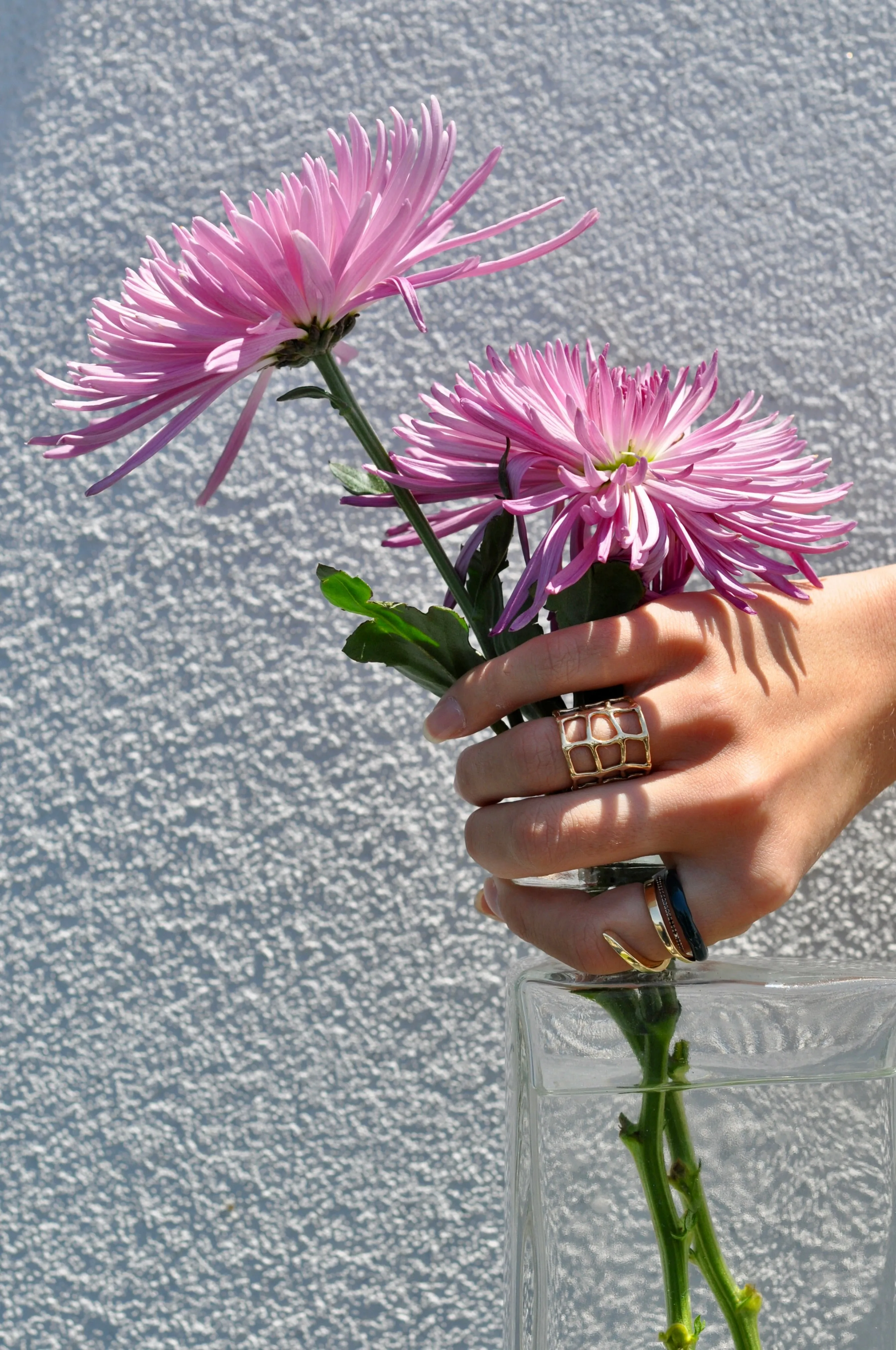 CHARLOTTE WEB RING