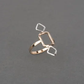 DIP TWO TONE RING