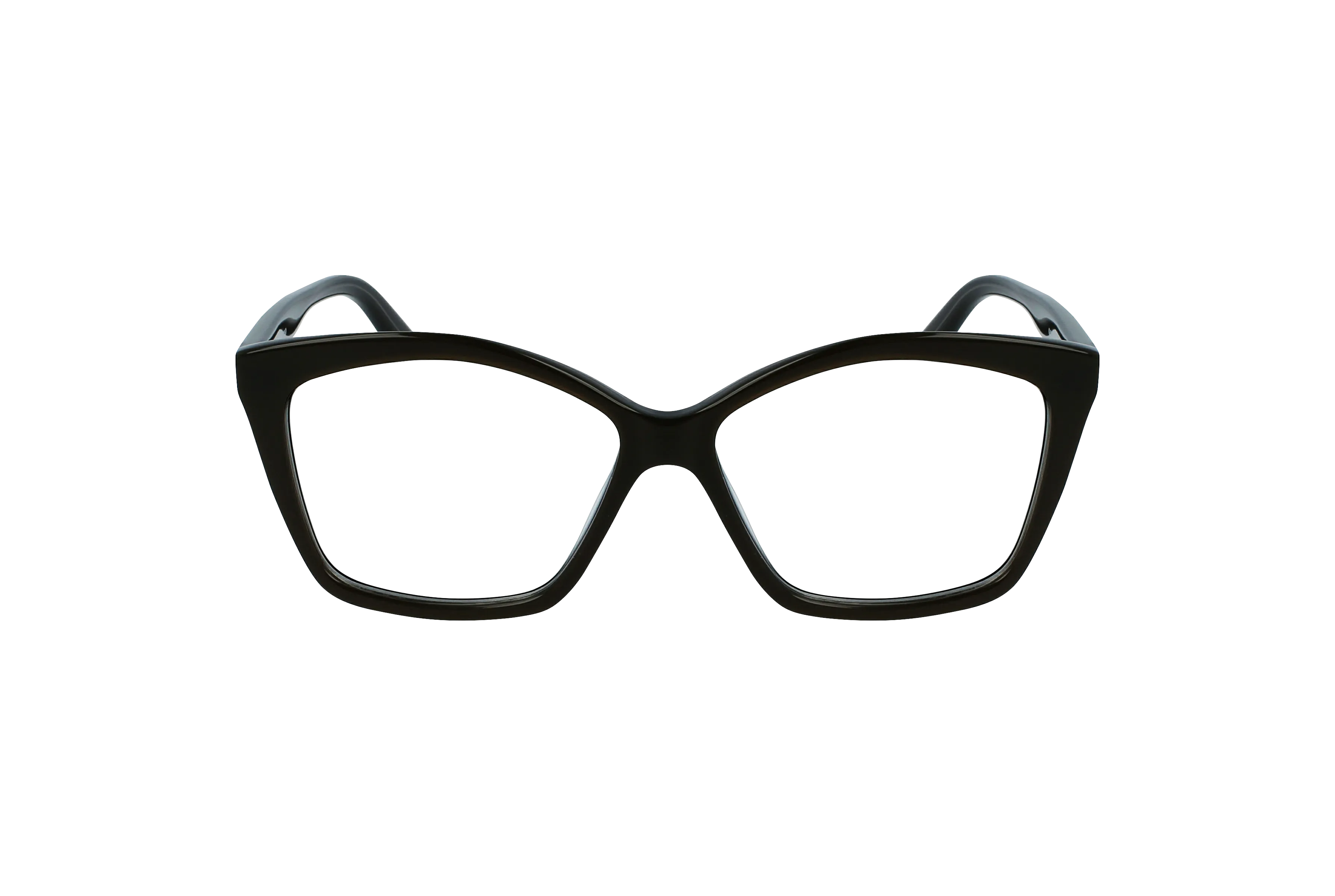 KARL LAGERFELD Frame - KL6064