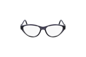 KARL LAGERFELD Frame - KL6109