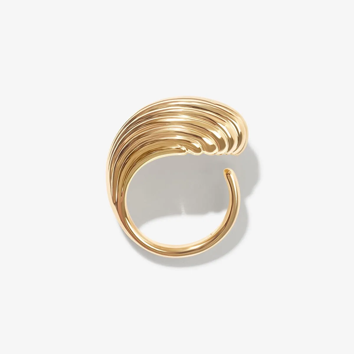 Rossi shell ring